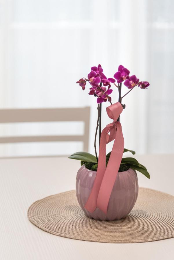 Relax Ciampino - By Good Time Apartments Экстерьер фото